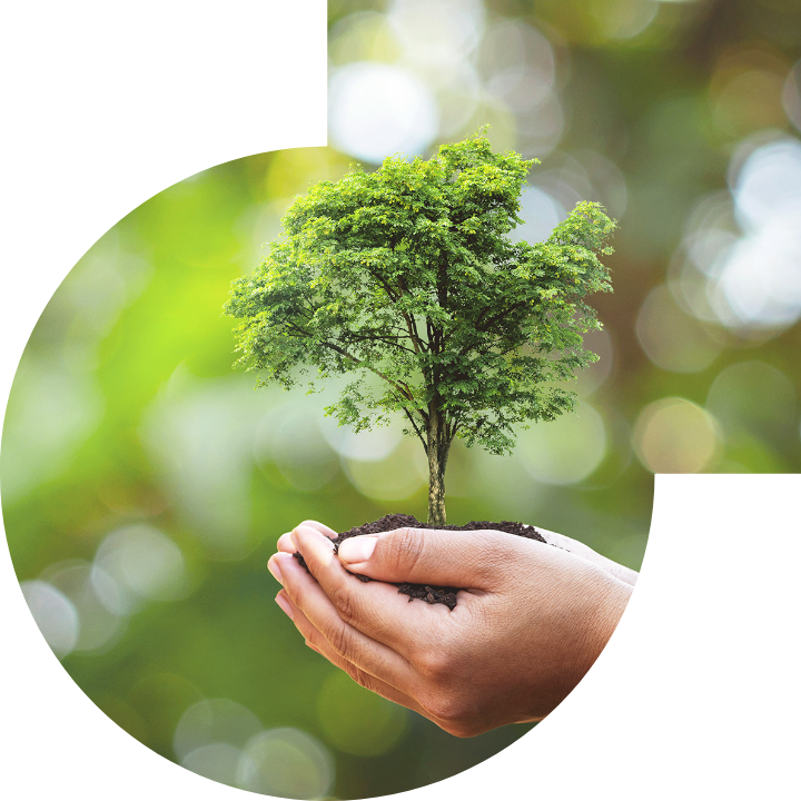 关怀人类、文化、环境与社会